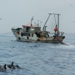NGOs Applaud Creation of Sanction System to Tackle Mediterranean Overfishing and Illegal Fishing