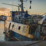 NGOs Call for Urgent Action: Conservation Measures Vital for Protection of Mediterranean Fisheries and Ecosystems